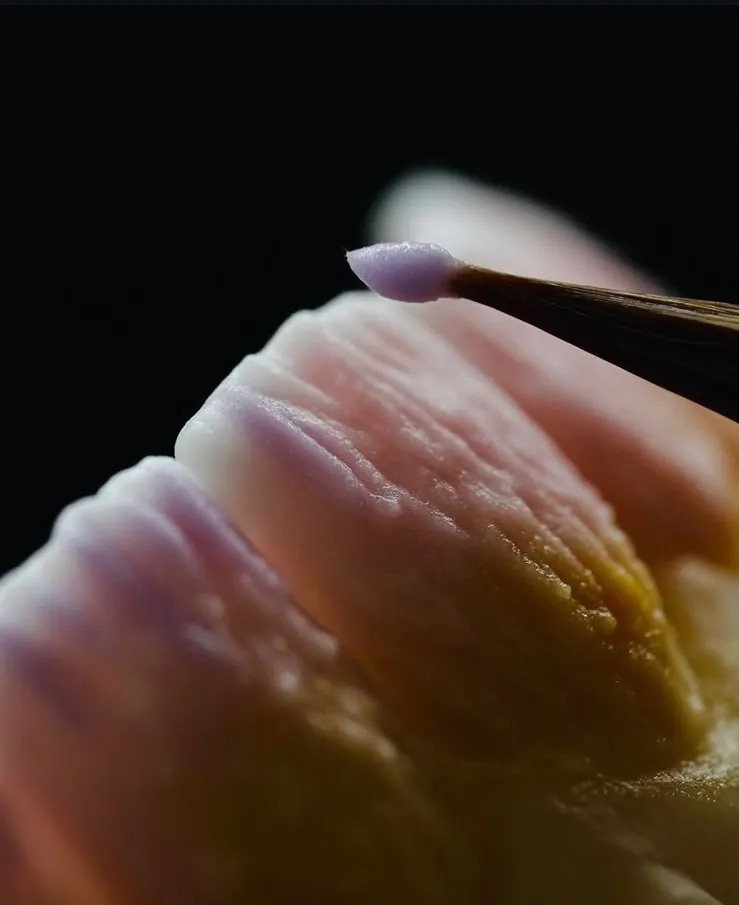 A brush finishing the surface of a porcelain tooth